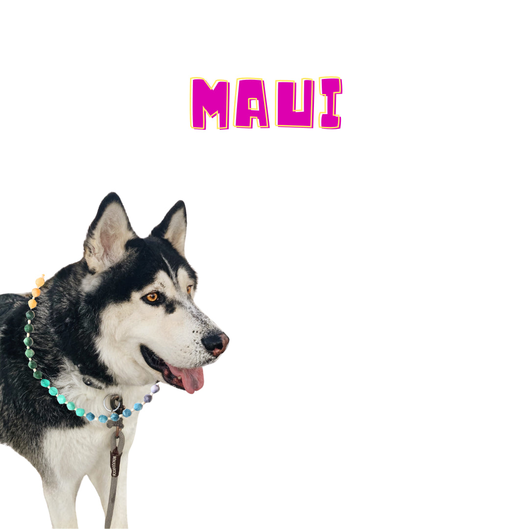 Maui