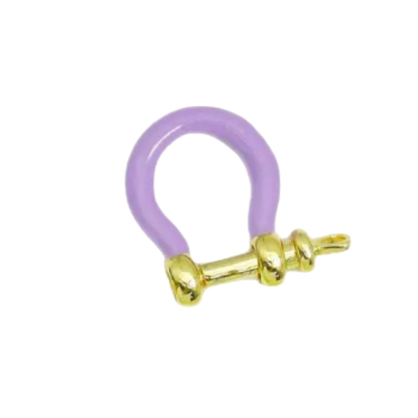 Horseshoe Carabiner