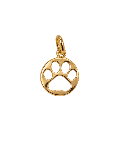 Dog Paw