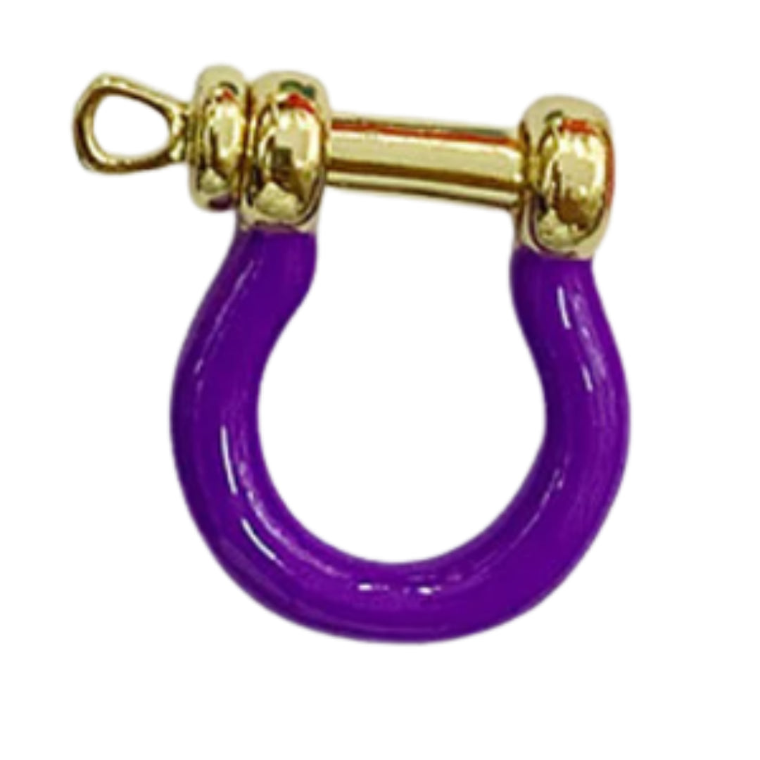 Horseshoe Carabiner