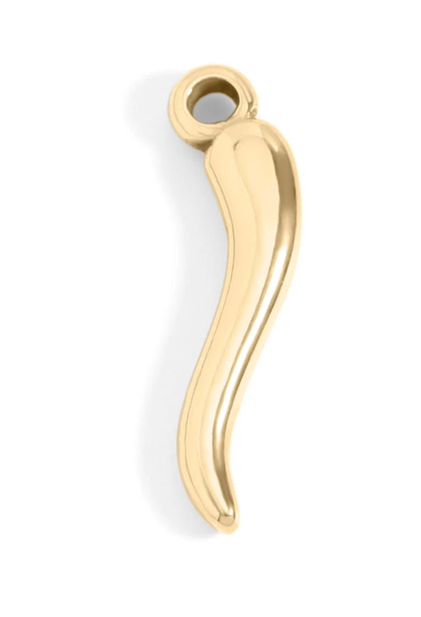 Italian Horn Charm