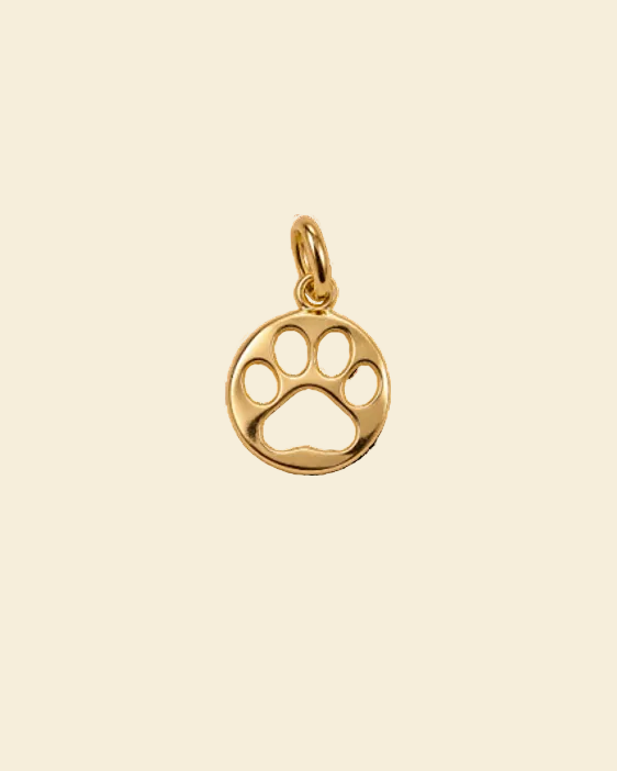 Dog Paw
